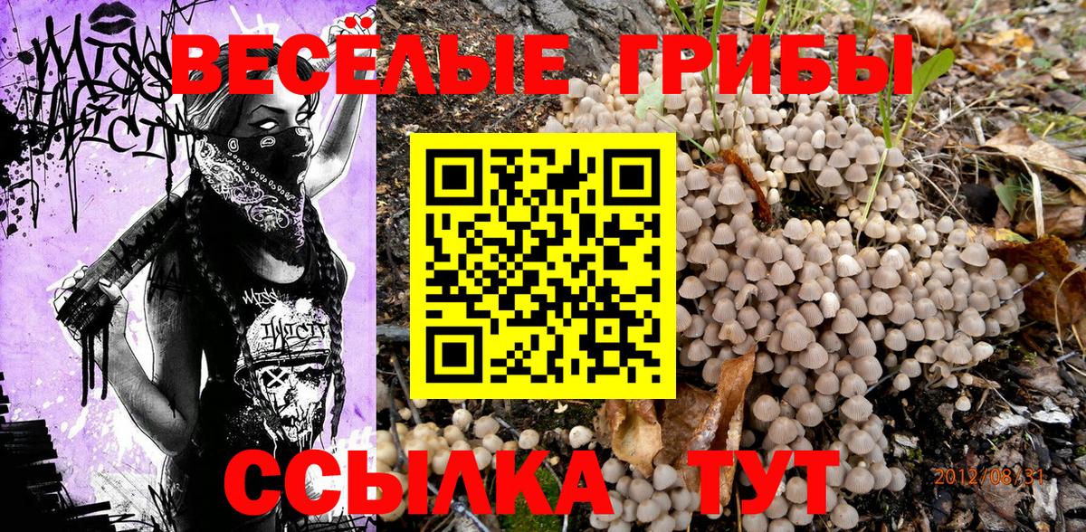 Галлюциногенные грибы прущие грибы  Вход с VPN  Орск 